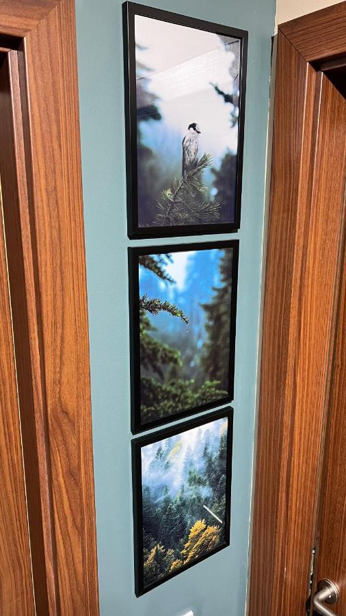 The Green Apartment Borovets Extérieur photo