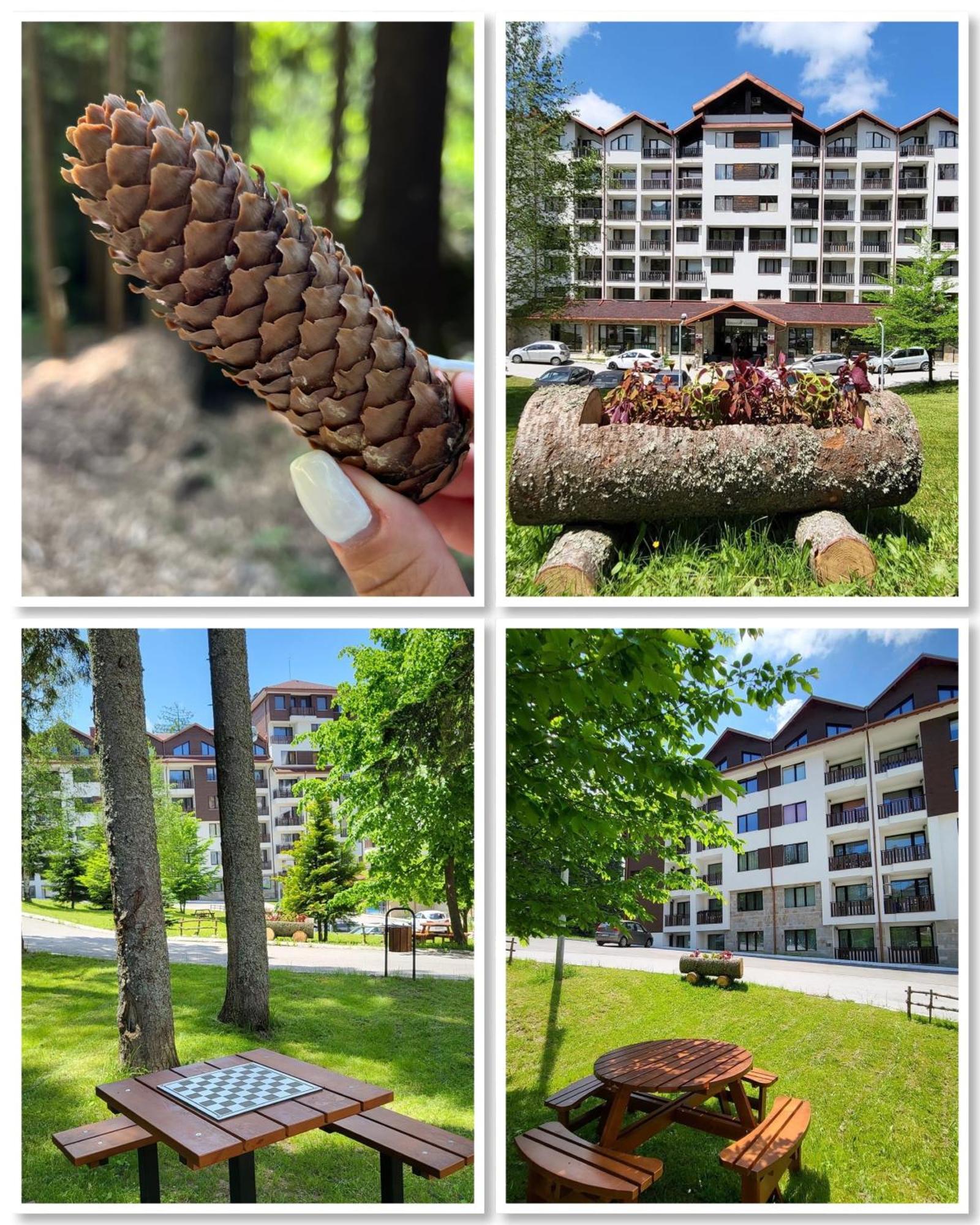 The Green Apartment Borovets Extérieur photo