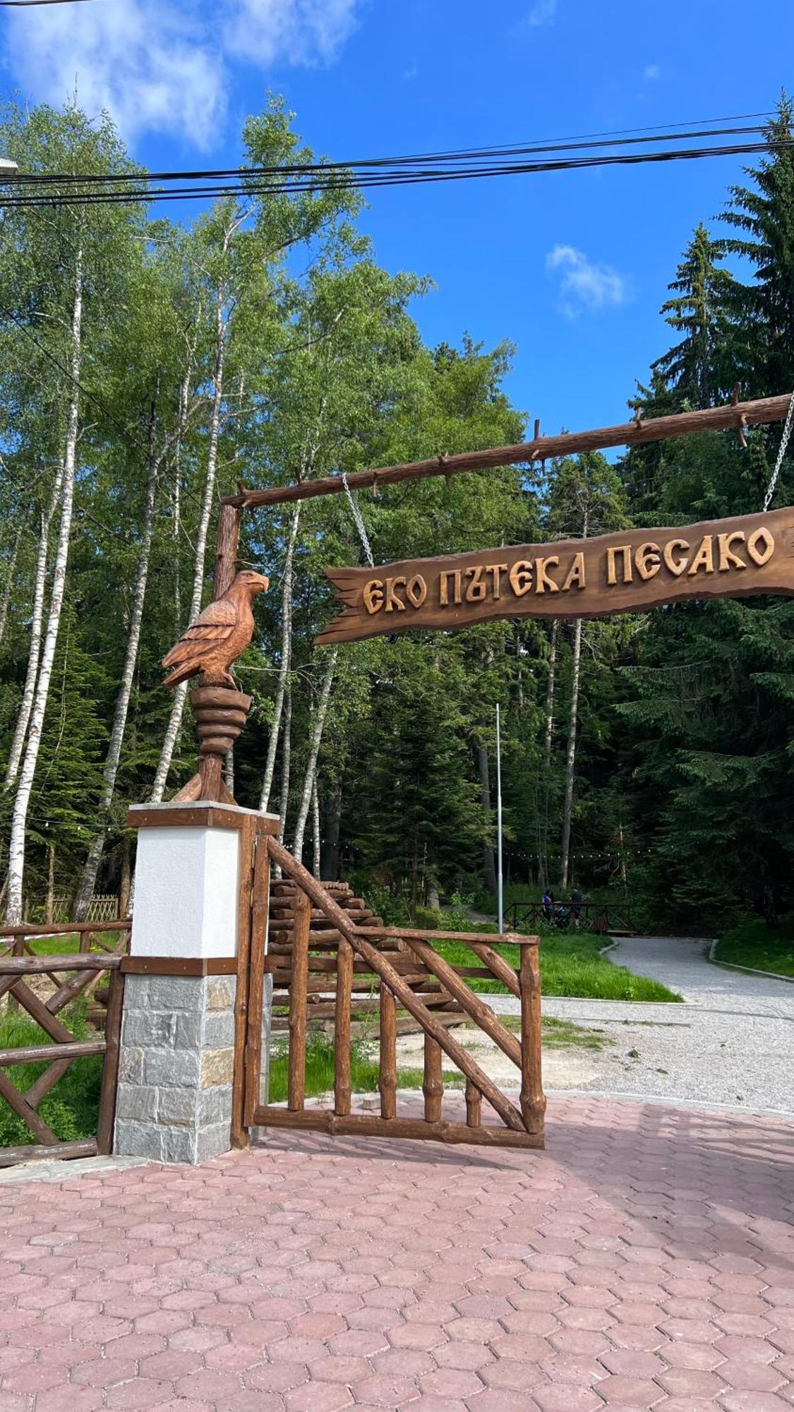 The Green Apartment Borovets Extérieur photo